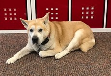 Sookie (Store Greeter)